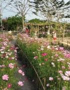 QUÁN ĂN HƯƠNG SEN